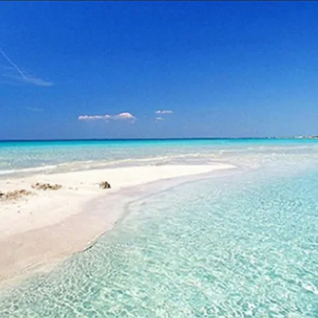 La Primula 3 Sea View - Happy Salve